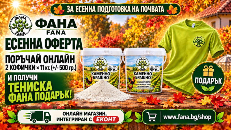 FANA shopgift landscape